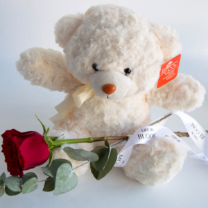 teddy bear, rose, combo, gift, celebration, Anniversary