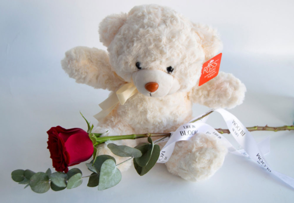 teddy bear, rose, combo, gift, celebration, Anniversary