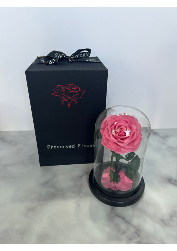 preserved rose, pink rose, rose in a vase,